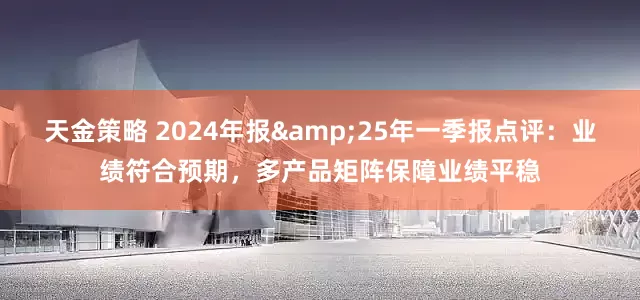 天金策略 2024年报&25年一季报点评：业绩符合预期，多产品矩阵保障业绩平稳