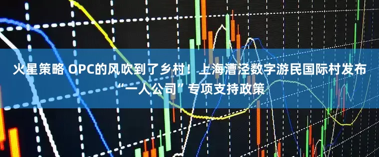 火星策略 OPC的风吹到了乡村！上海漕泾数字游民国际村发布“一人公司”专项支持政策